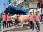 โครงการส่งเสริมและอนุรักษ์งานประเพณีวิ่งควาย ครั้งที่ 55 #2